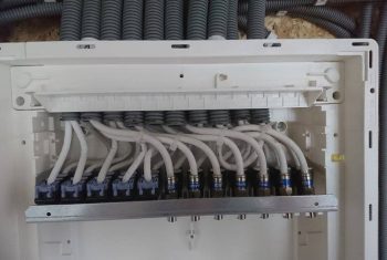 492146533 2412029049180700 2327746509692588395 n